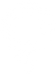 icon1
