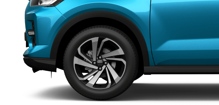 RAIZE 28 0841649FDF9394719727D9979EF2AB6A